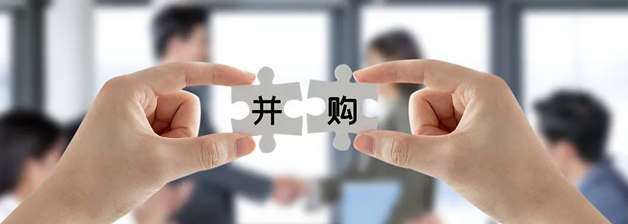 跨境并购一站式服务